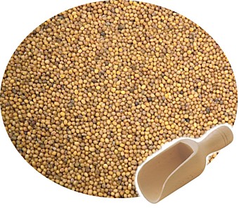 Горчица, меш.30кг