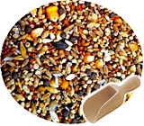 Зерносмесь крупная